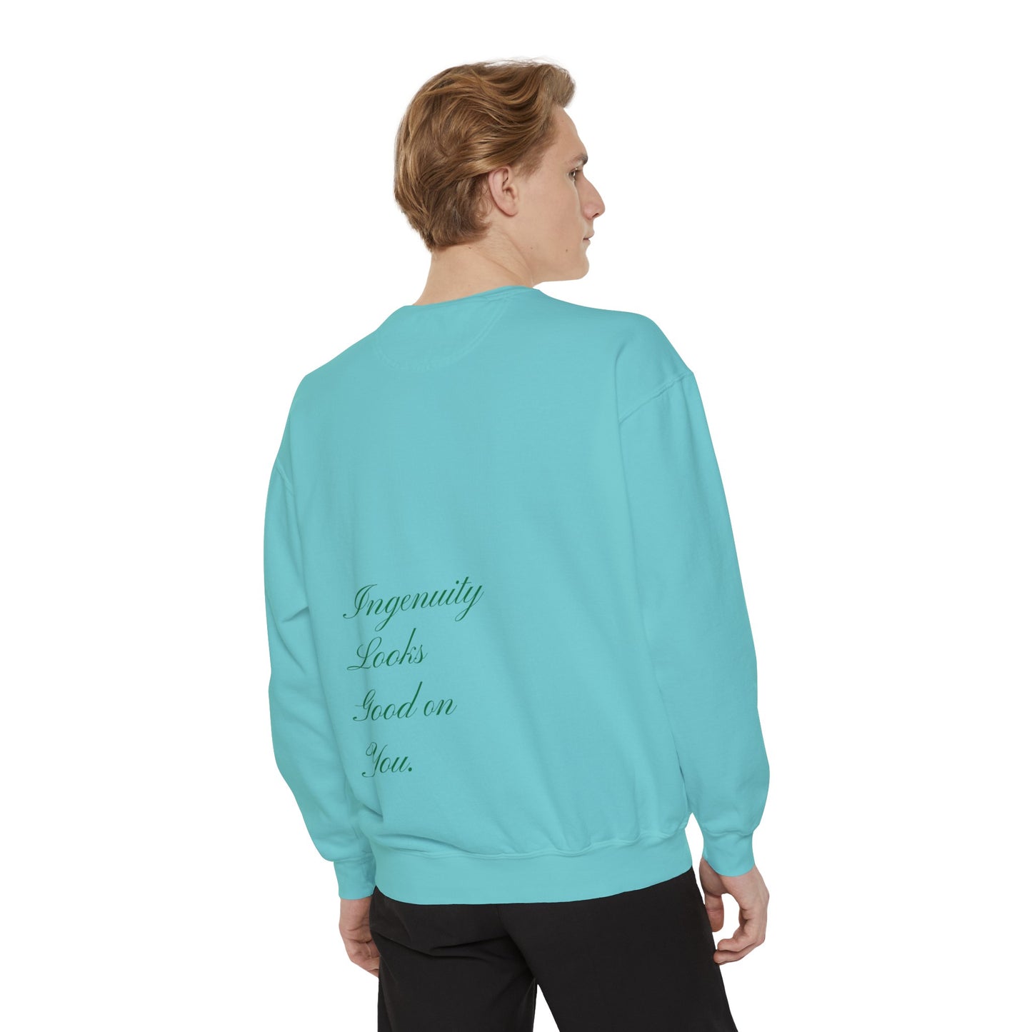 “Dapriel Take over “Unisex Garment-Dyed Sweatshirt