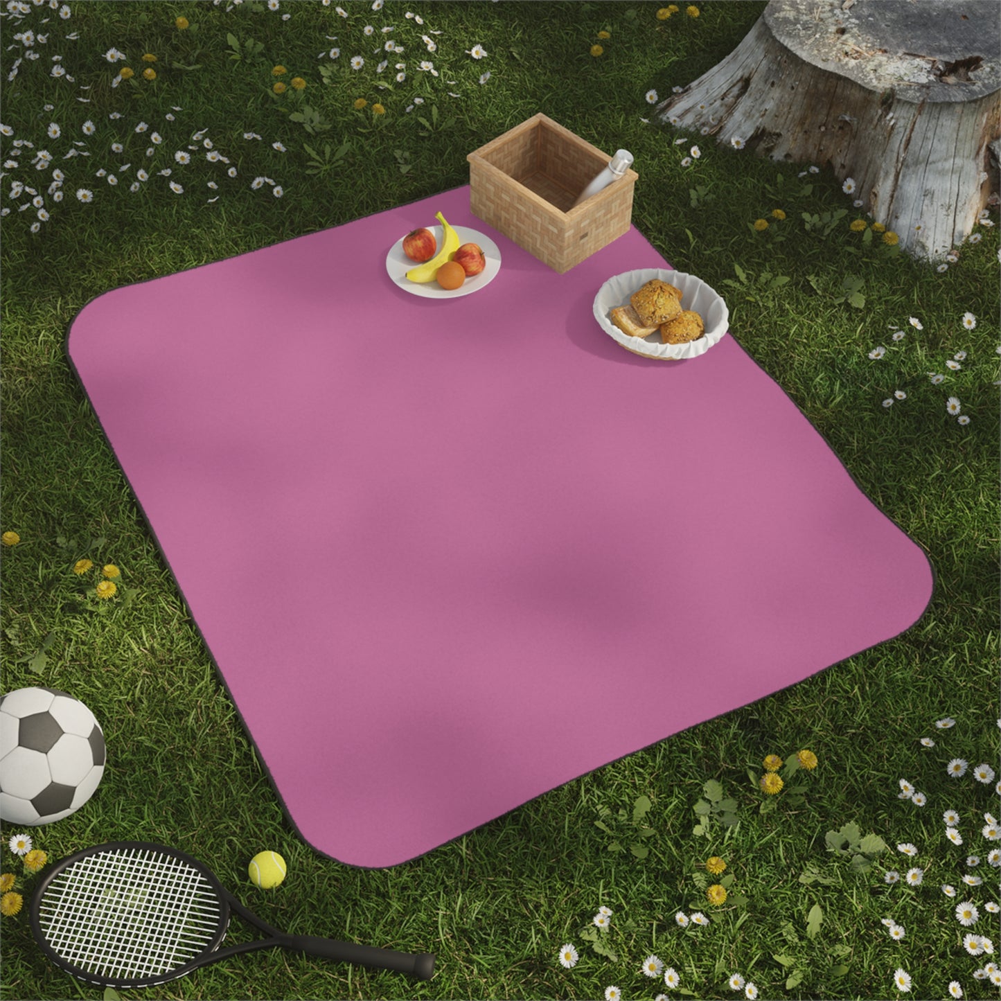 Dapriel Pink Picnic Blanket