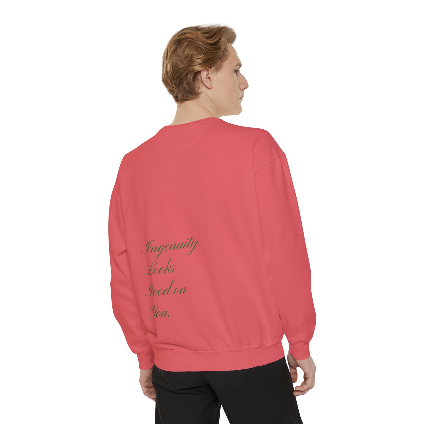 “Dapriel Take over “Unisex Garment-Dyed Sweatshirt