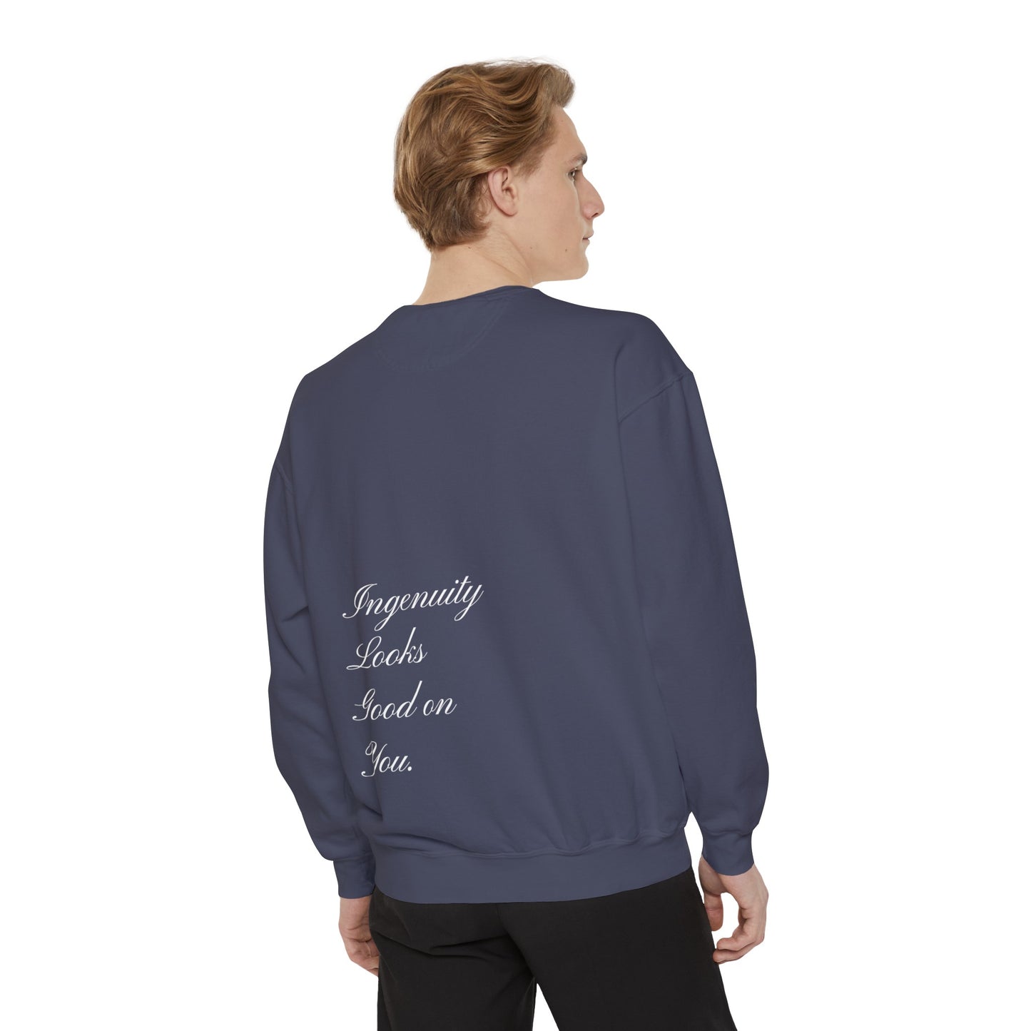 “Dapriel Take over “Unisex Garment-Dyed Sweatshirt