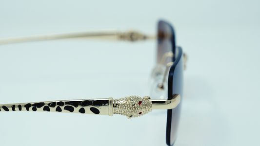 Cheetah’s Muse